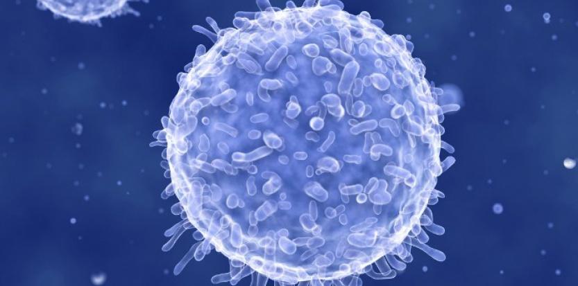 Comment augmenter son taux de globules blancs