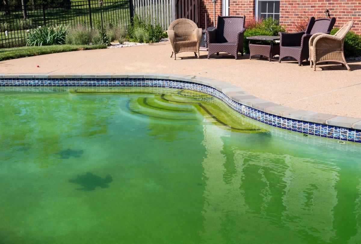 Comment rattraper une eau de piscine verte facilement