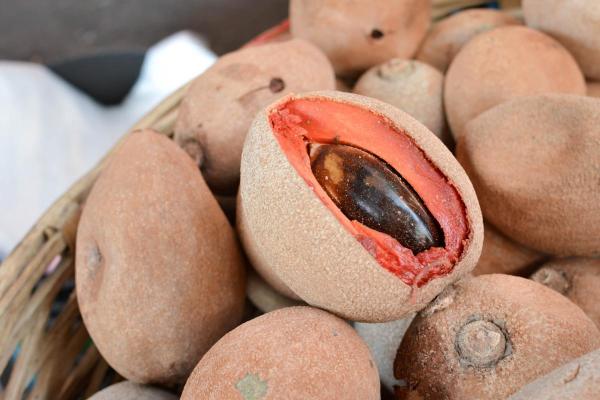 Sapote : fruit, bienfaits et recettes - Santé oculaire