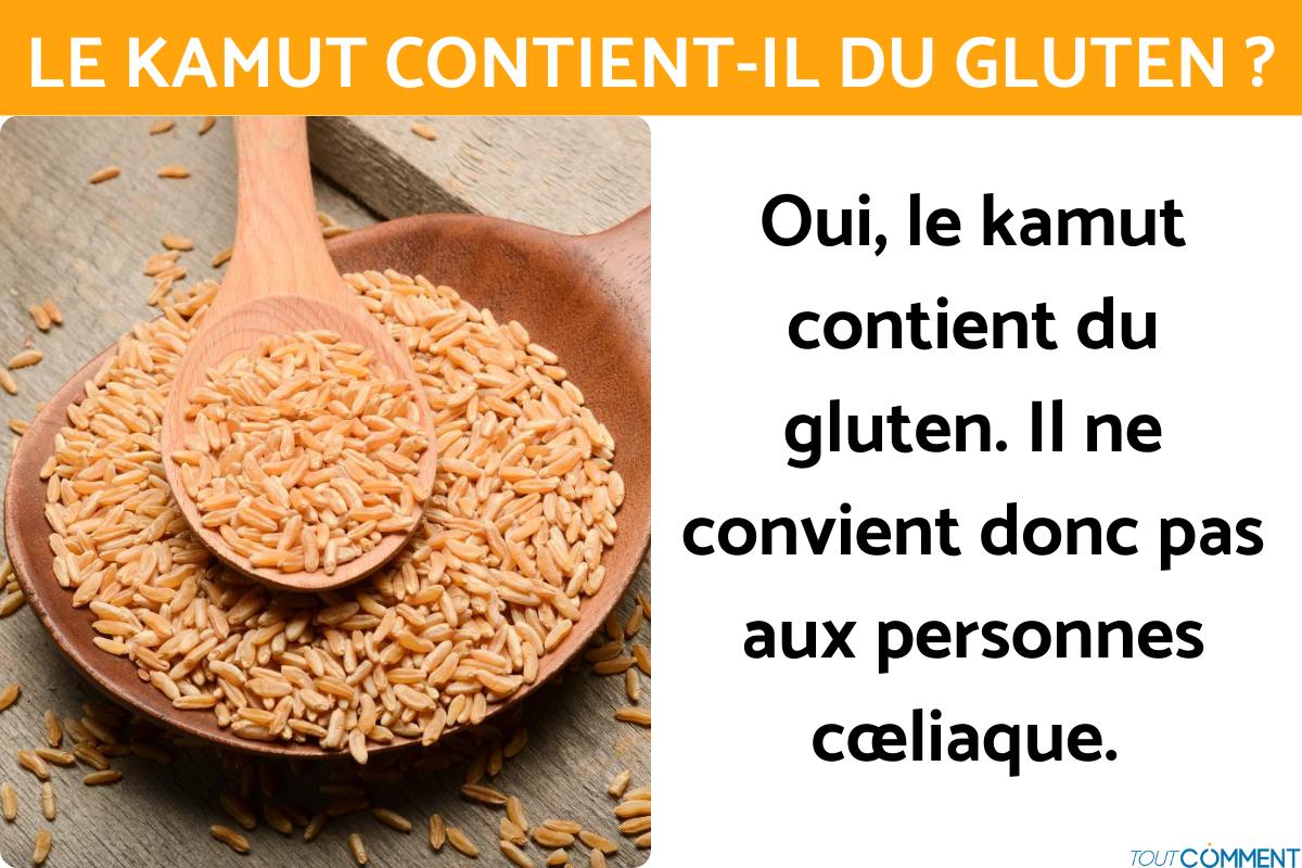 Le kamut contient-il du gluten ?