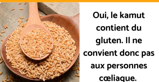 Le kamut contient-il du gluten ?