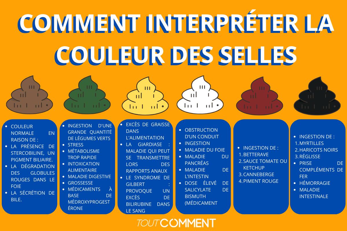 Comment interpréter la couleur des selles
