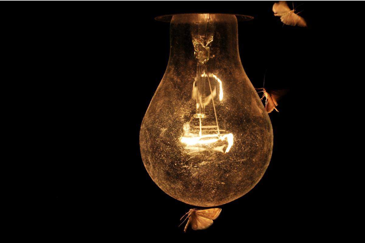 Pourquoi les papillons de nuit sont attirés par la lumière