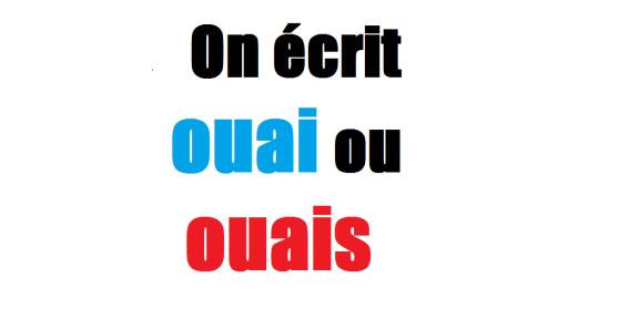 Orthographe de "ouai" : avec ou sans S ?