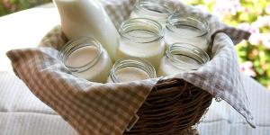 Comment faire du yaourt au soja maison