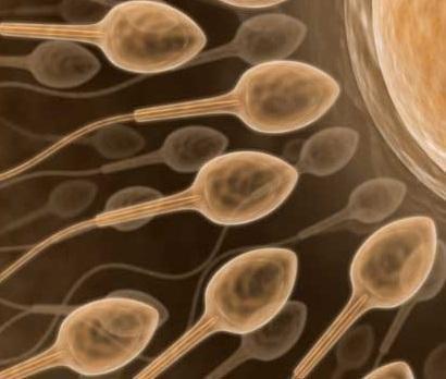 Comment augmenter sa quantité de sperme