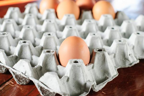 Comment réutiliser des boîtes d'oeufs