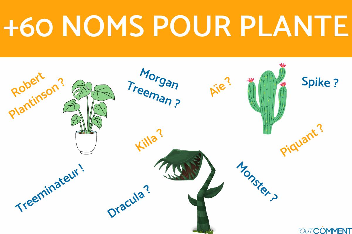 Noms pour plantes