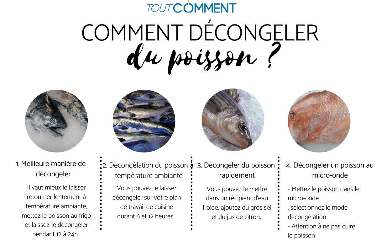 Comment DÉCONGELER du POISSON ? (4 TECHNIQUES) — free download