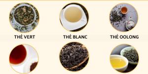 Quels sont les différents types de thé
