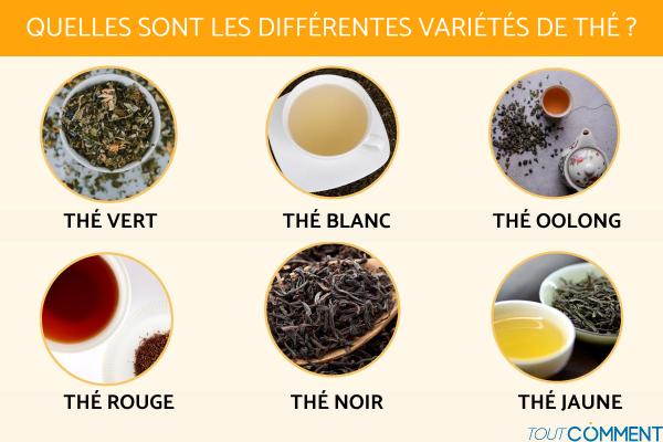 Quels sont les différents types de thé
