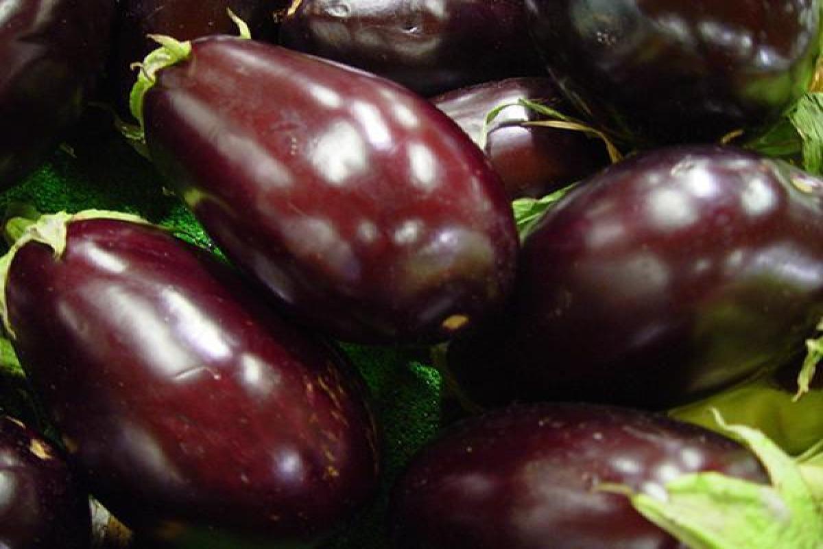 Comment congeler des aubergines ?