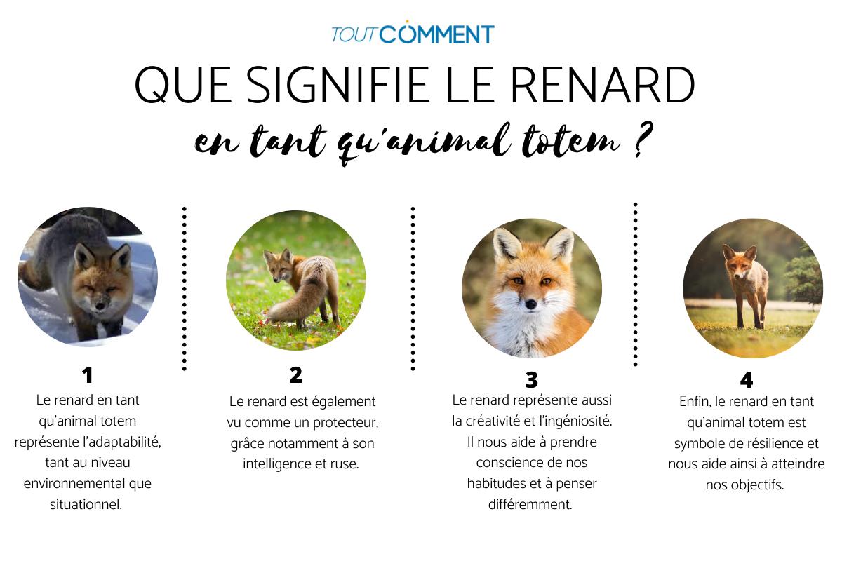Que signifie le renard en tant qu’animal totem ?