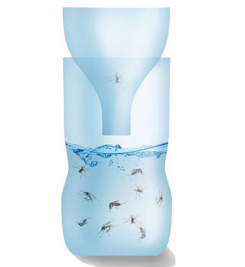 Comment éviter les insectes dans la maison - Étape 6