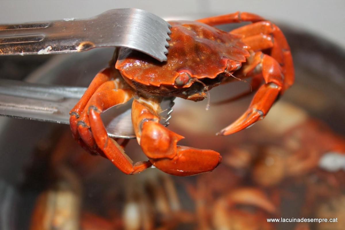 Comment cuire le crabe