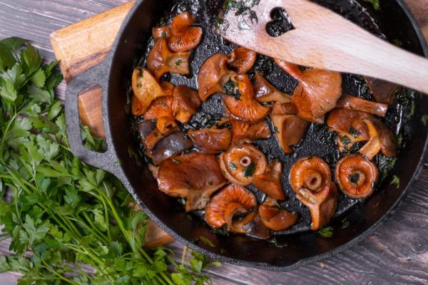 Lactaires délicieux : bienfaits, propriétés et recettes - Recettes de lactaires délicieux