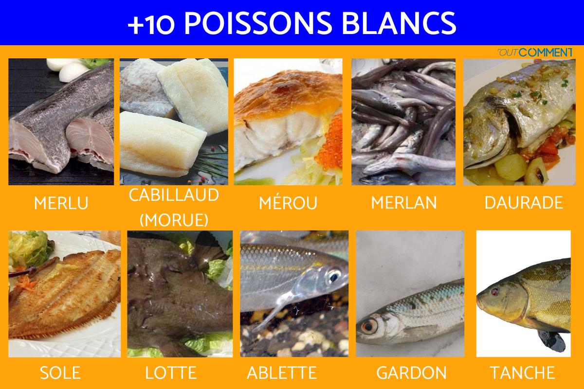 Quels sont les poissons blancs
