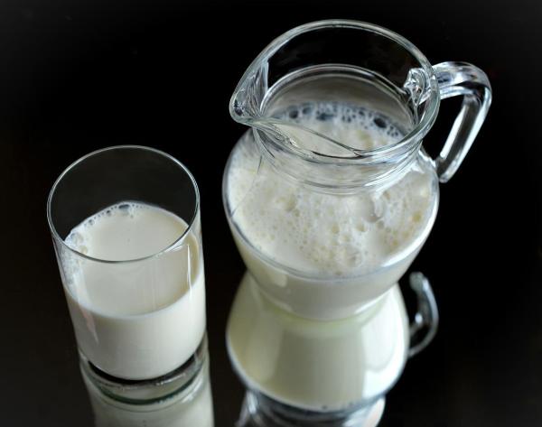 Les bienfaits du lait sans lactose