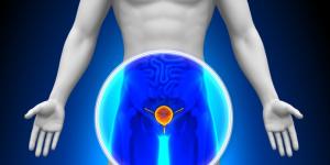 Quels sont les aliments bons pour la prostate