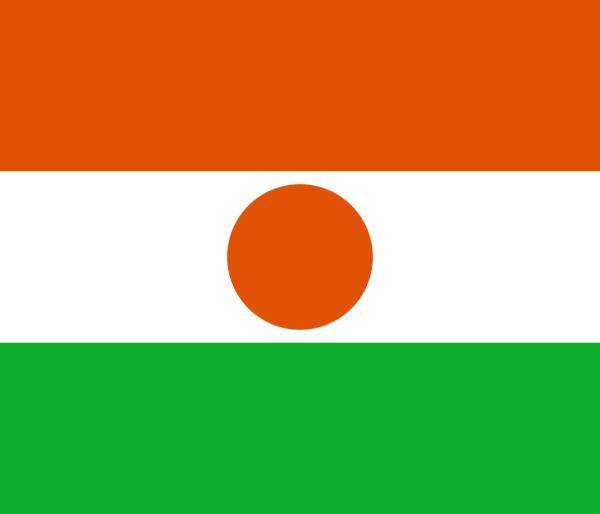 Drapeaux avec un soleil - Niger : Soleil du désert et résistance