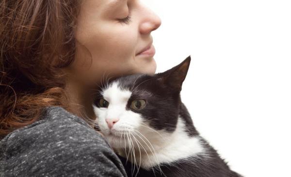 Comment soigner une cystite chez le chat - Étape 1