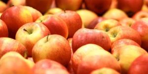 Quels sont les meilleurs fruits pour les diabétiques
