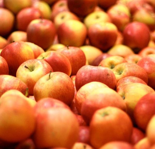 Quels sont les meilleurs fruits pour les diabétiques