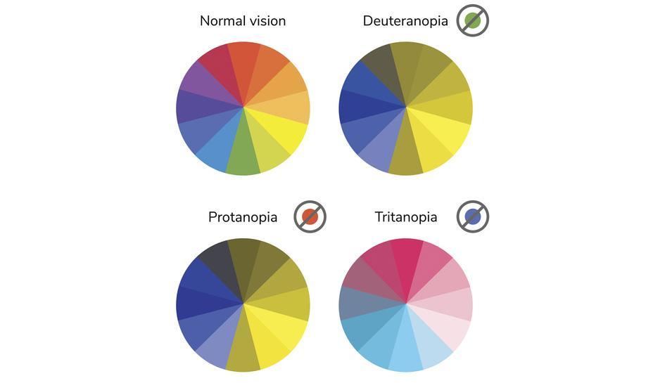 Comment voit un DALTONIEN Couleurs, Tests et Types de Daltonisme — free download