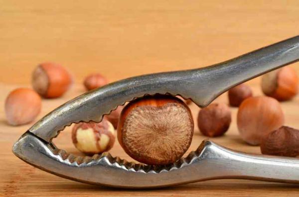Quels sont les fruits secs qui font le moins grossir - Étape 6