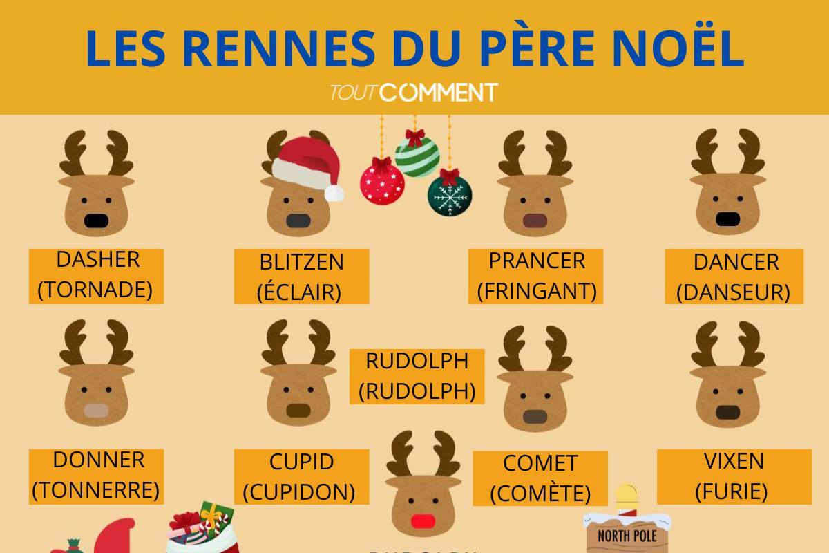 Les rennes du Père Noël