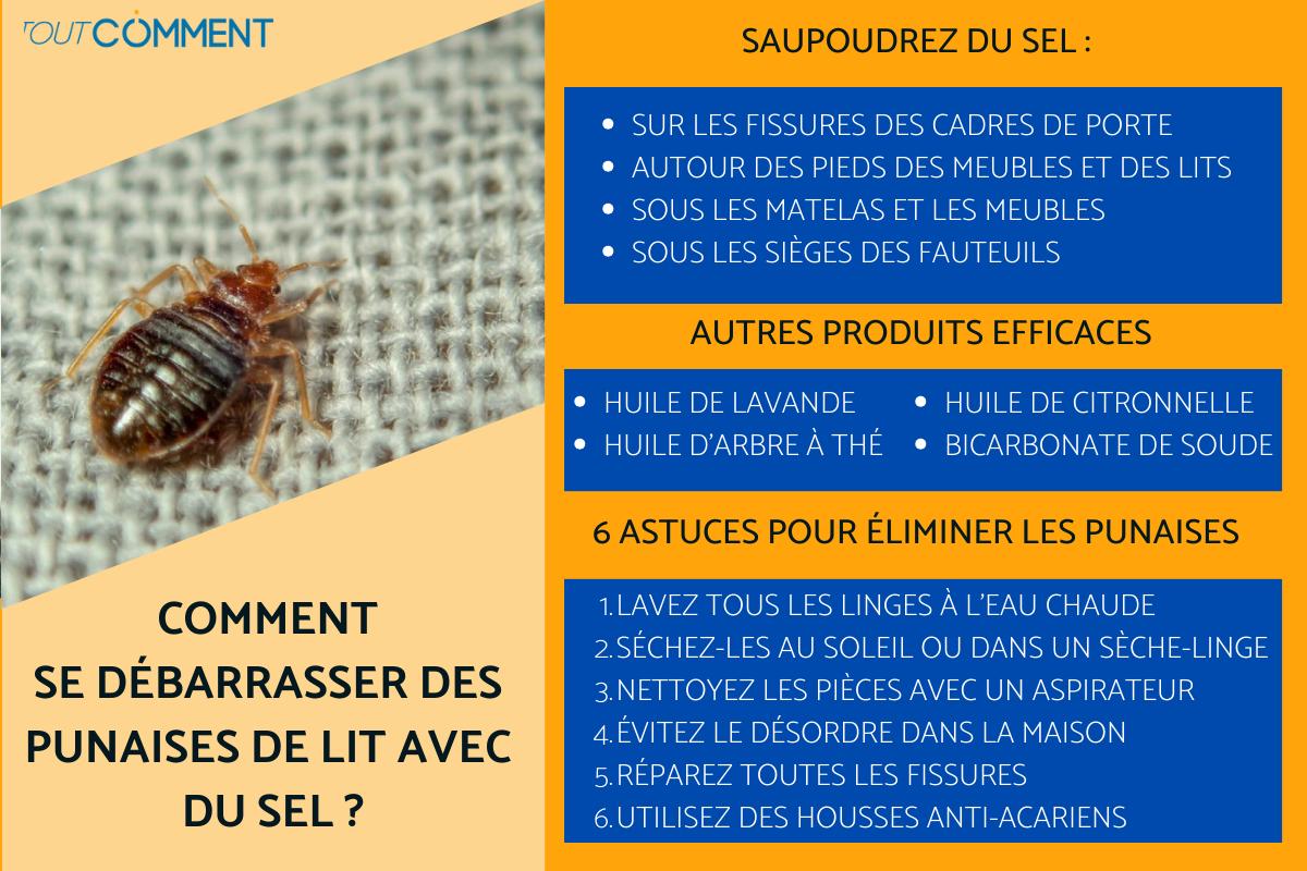 Comment se débarrasser des punaises de lit avec du sel