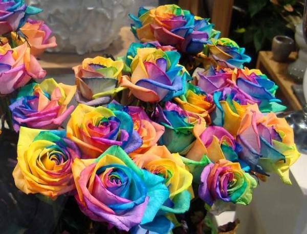 Comment colorer les fleurs (roses et oeillets)