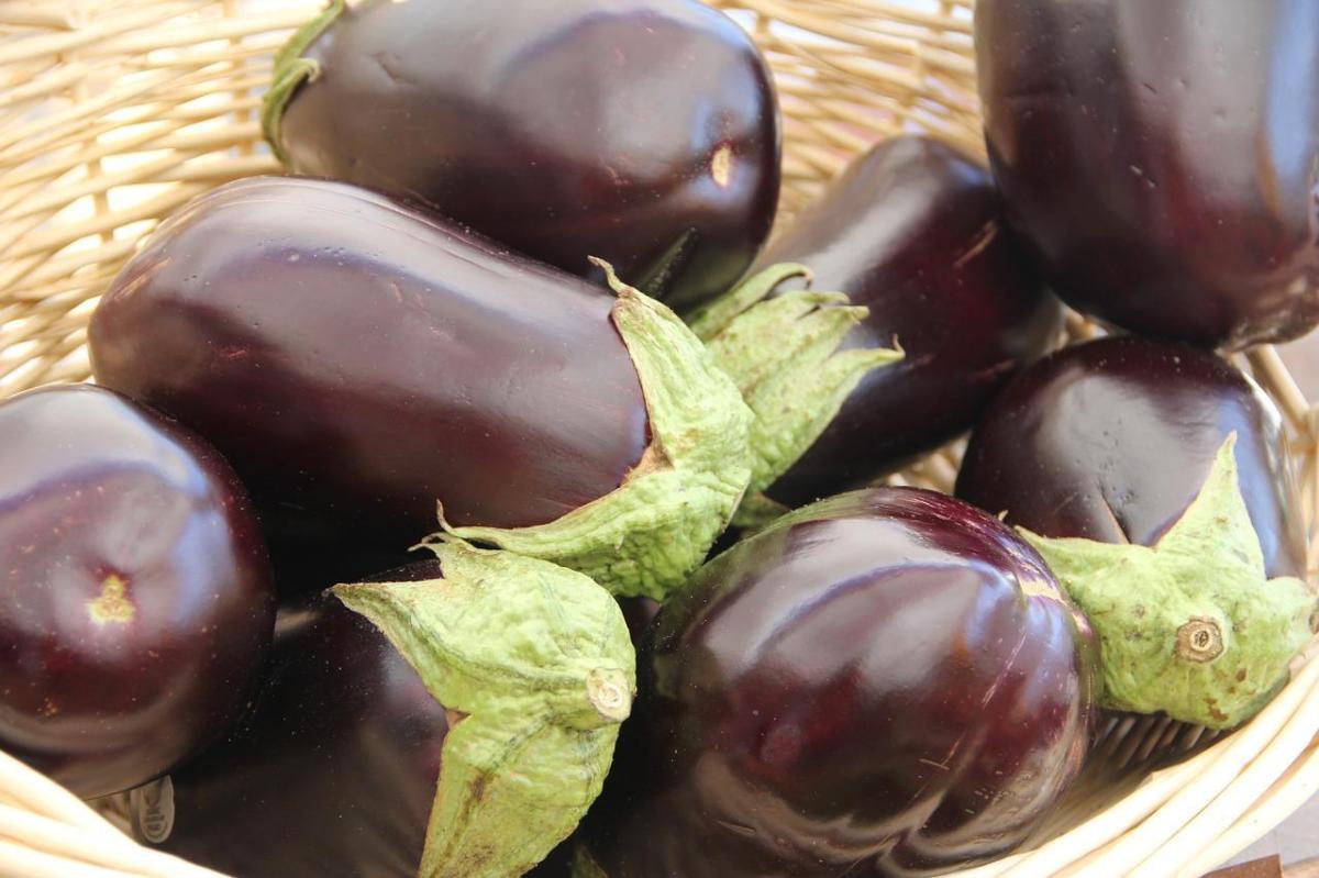Comment conserver les aubergines
