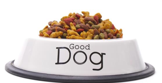 Que doit manger un chien qui a la diarrhée