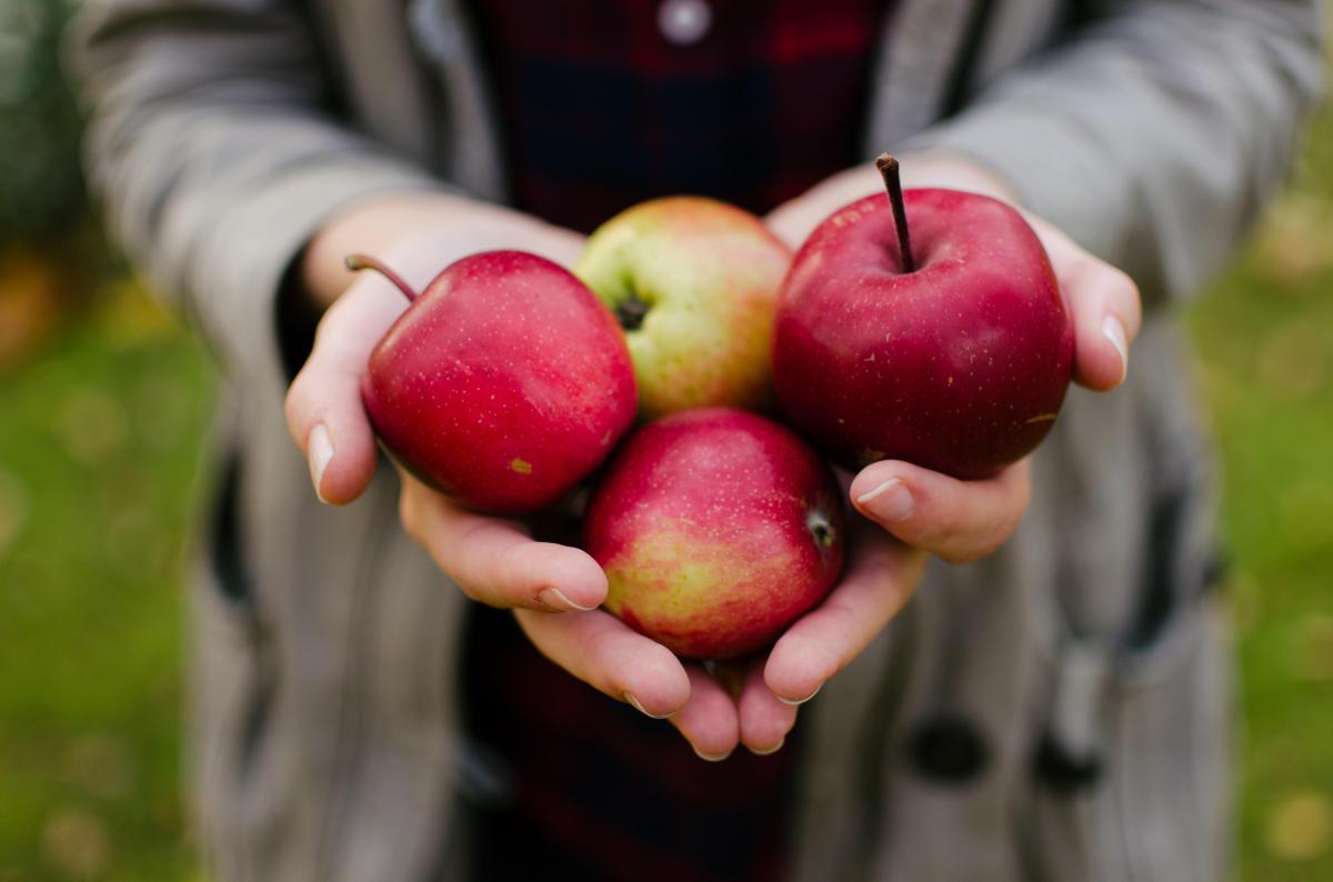 La pomme est-elle responsable de constipation ?