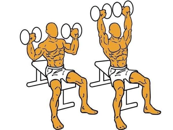 5 exercices pour renforcer les bras - Développés avec haltères