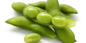 Quels aliments augmentent le taux d'oestrogènes