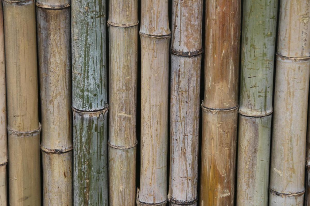 6 idées pour décorer avec du bambou