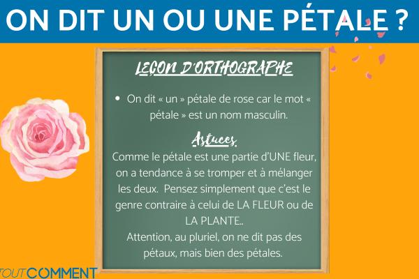 On dit UN ou UNE pétale de rose ?