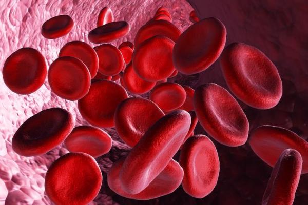 Quelles sont les valeurs normales du taux d'hémoglobine ?