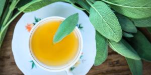 Quelle est la différence entre le thé et la tisane