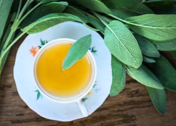 Quelle est la différence entre le thé et la tisane