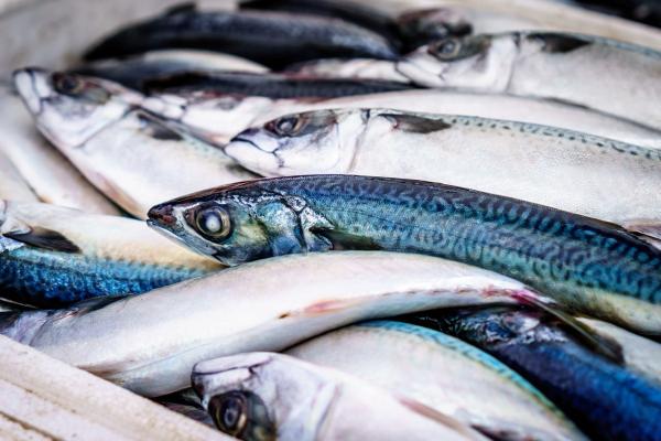 Rêver de poisson - Signification des rêves - Rêver de poisson mort