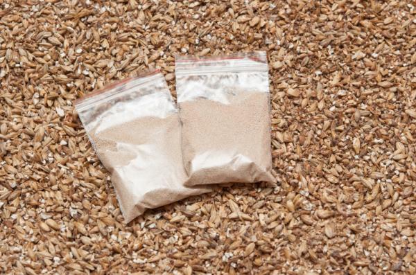Aliments riches en vitamine B -