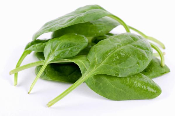 Aliments riches en vitamine B -