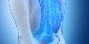 Quelle est la taille normale de la prostate