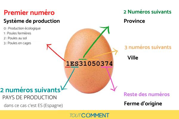 Comment lire le code des œufs ? - Comment lire le code des œufs ?