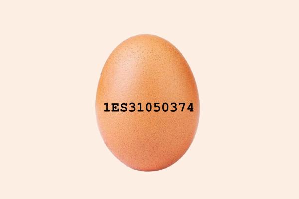 Comment lire le code des œufs ?