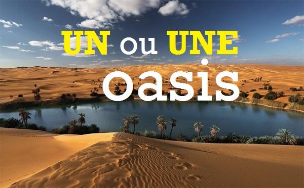 On dit UN oasis ou UNE oasis ?