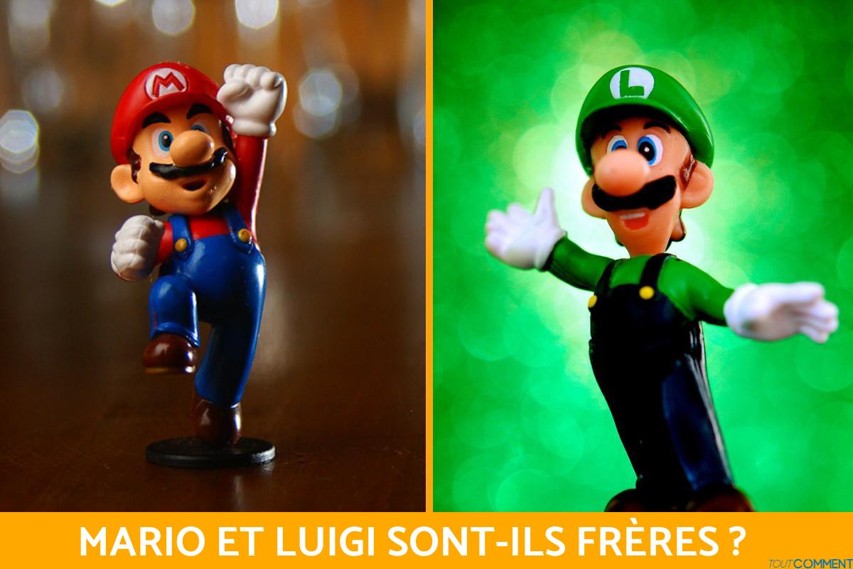 Mario et Luigi sont-ils frères ?